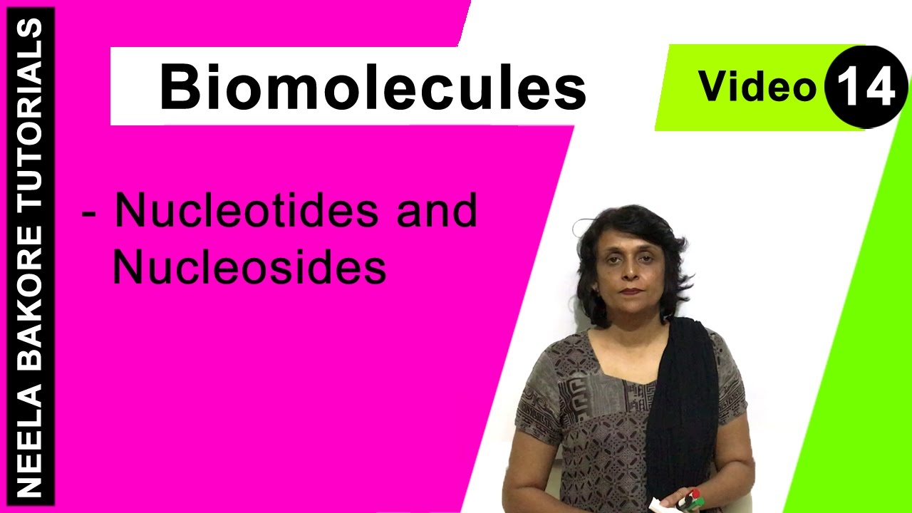 Biomolecules | NEET | Nucleotides and Nucleosides | Neela Bakore Tutorials