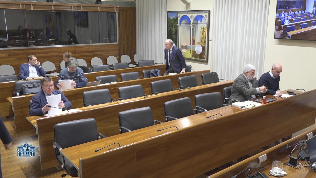 Comisión de Investigación sobre el accidente en la mina de Cerredo (II)