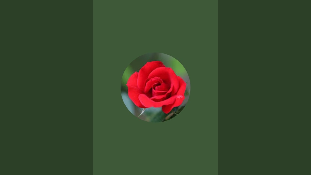 Ko Htun is live!  မင်္ဂလာညချမ်း  5ကြိမ်..ဖွိုင်နယ်မူ