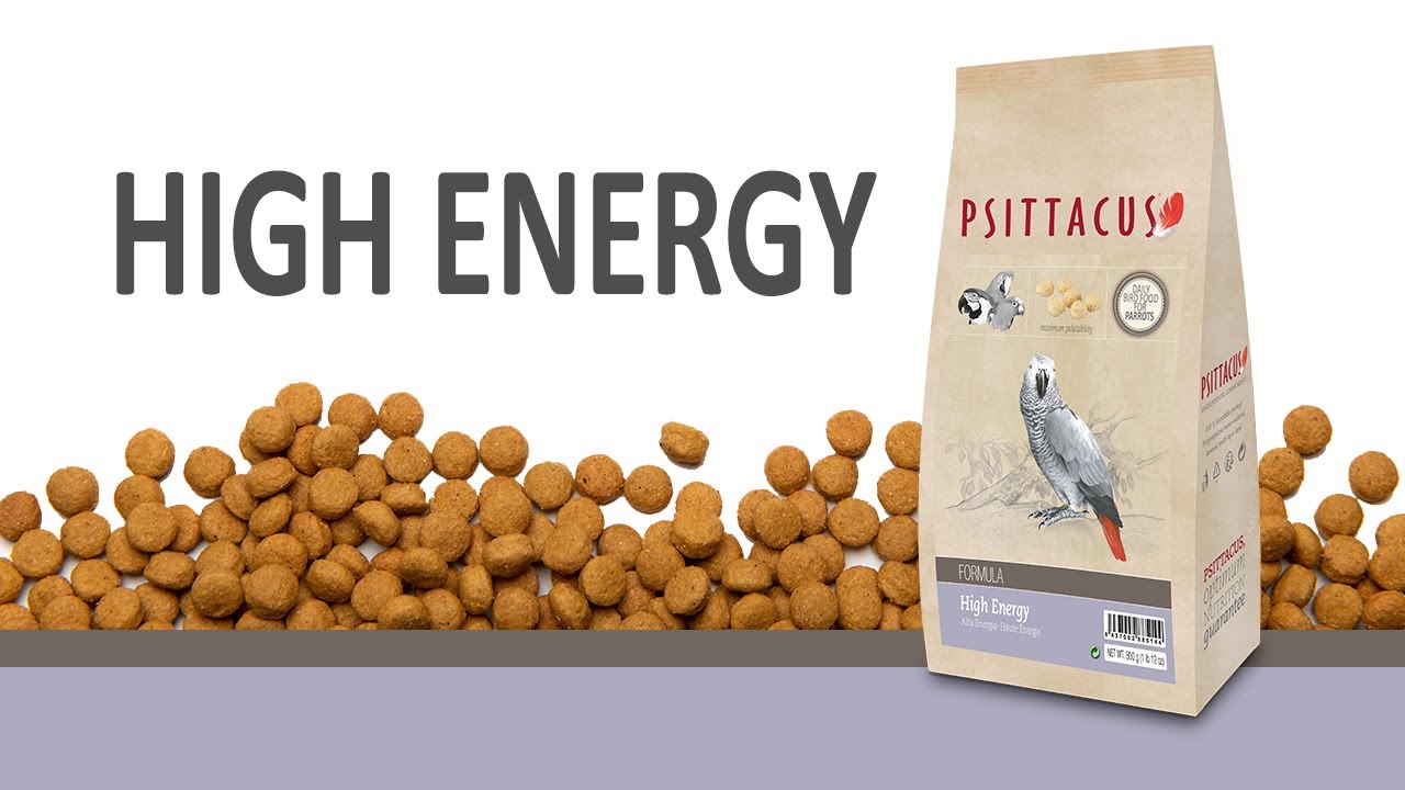High Energy (Versión española)
