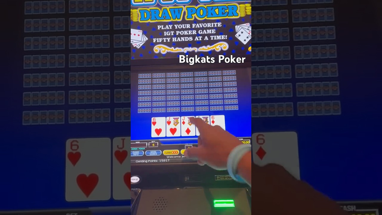 1250,00 $ za obr&oacute;t. 🔥Zobacz to. #bigkatspoker #beyondblackjack #poker