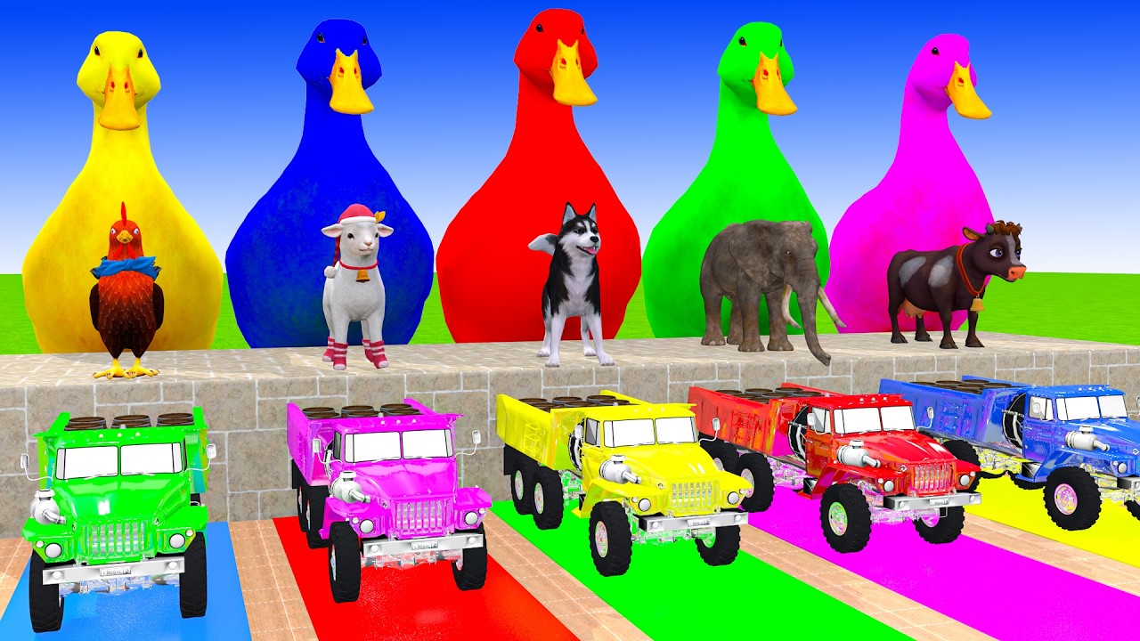 Long Slide Game With Cow Elephant Gorilla Hippopotamus Tiger 3d Animal Game Funny 3d Animals