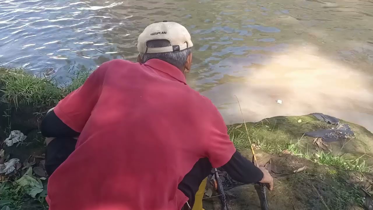 Tarikannya sama dengan Ikan mas 🐟@HenhenWijaya 