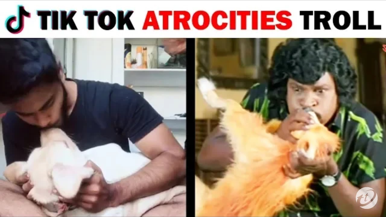 TIK TOK ATROCITIES TROLL   MIX DUBSMASH HIGH