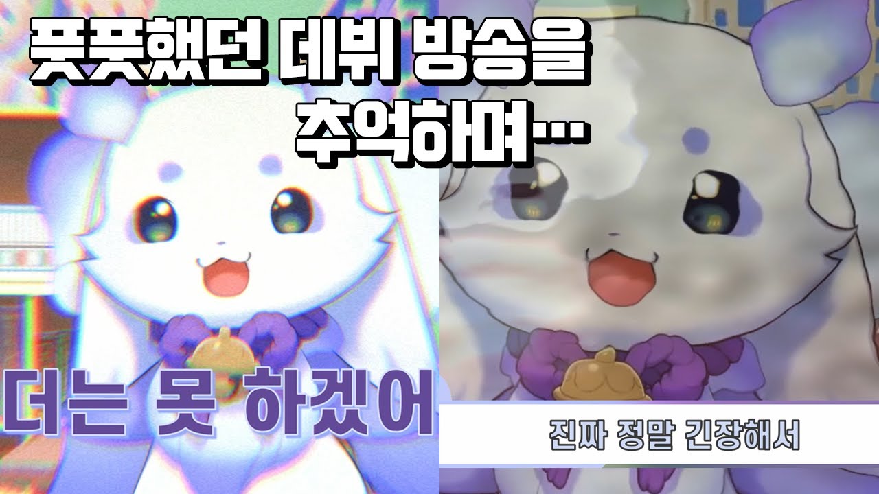 【룬룬/룬쵸마】데뷔 방송 다시보기
