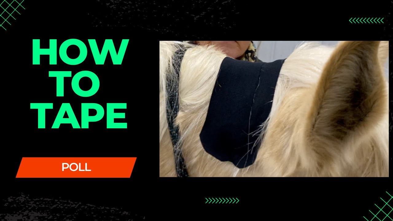 Equine Rock Tape - On A Horse's Poll?