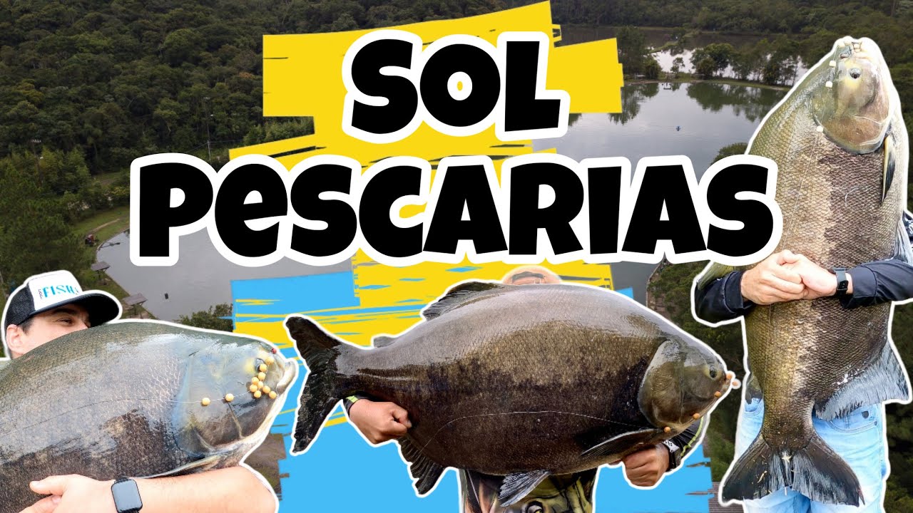 SOL PESCARIAS, a melhor pescaria feita at&eacute; hoje! Todas as dicas #solpescarias