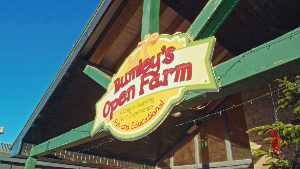 Rumley's Open Farm
