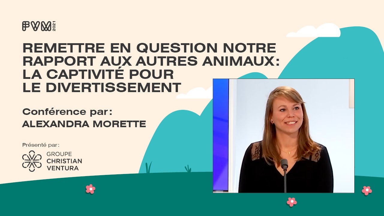 Remettre en question notre rapport aux autres animaux : la captivité pour le divertissement
