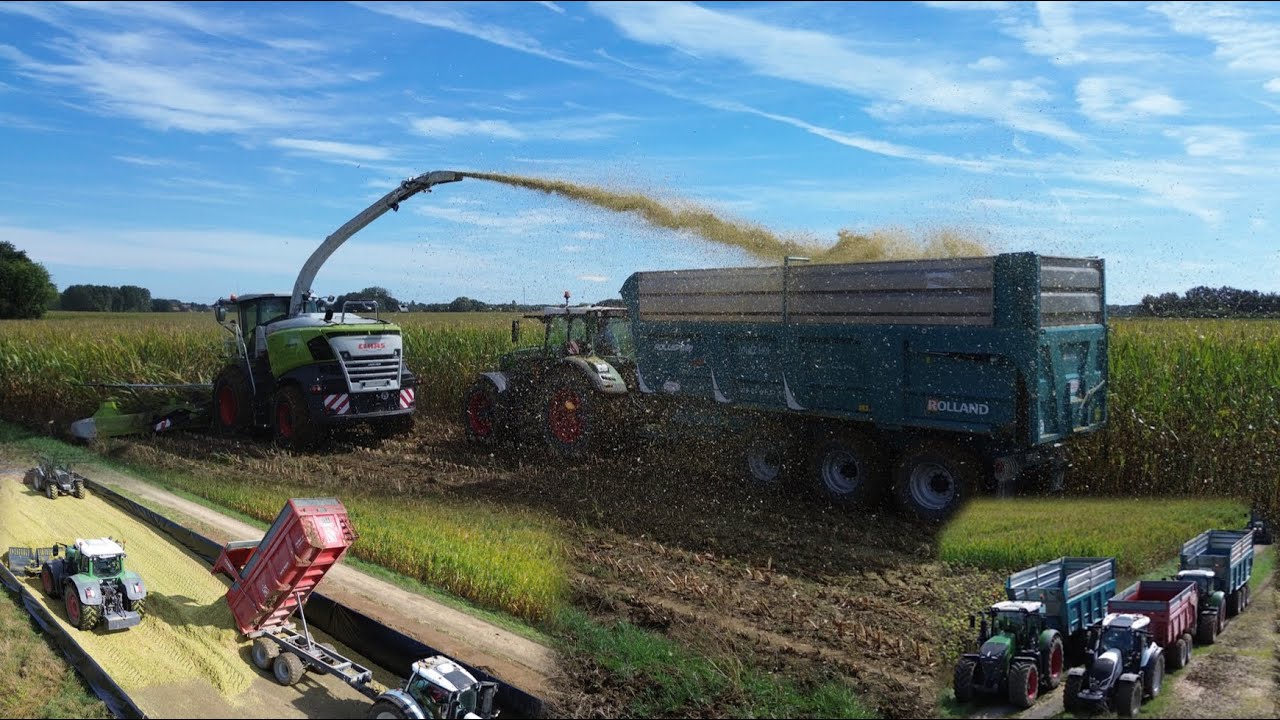 Top départ dans les ENSILAGES DE MAÏS 2024  pour un élevage laitier 🐄🥛🌽 // ETA David DESIMPEL