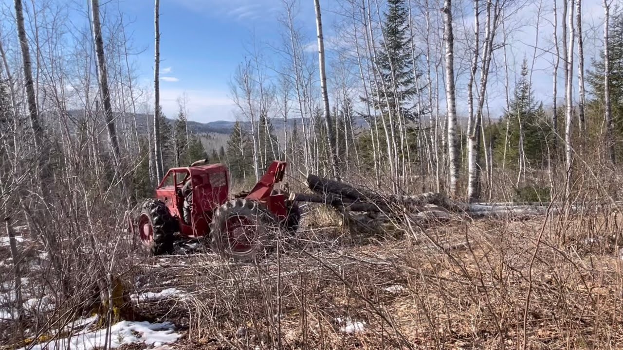 Timberjack skidder 353 Detroit engine logging skidding