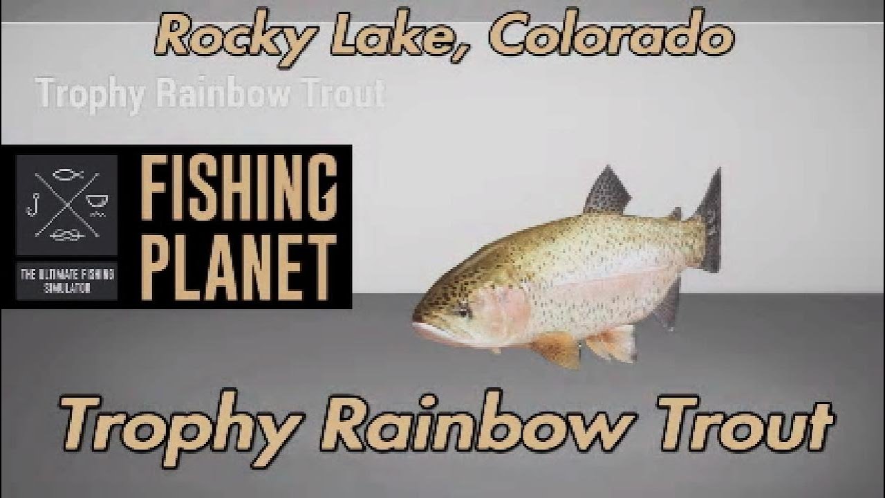 Trophy Rainbow Trout Rocky Lake Colorado Fishing Planet Guide