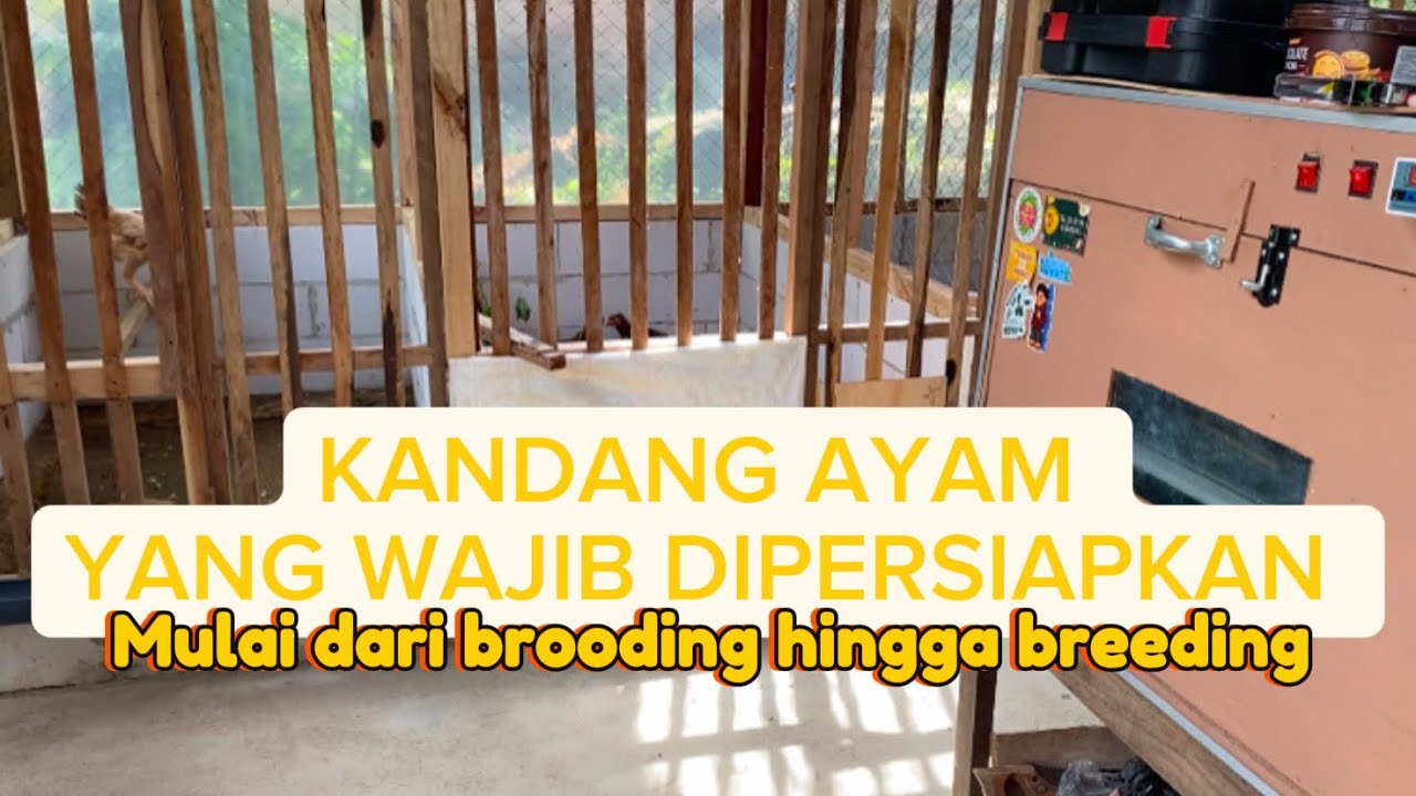 KANDANG AYAM YANG SANGAT DIBUTUHKAN UNTUK PETERNAK PEMULA 