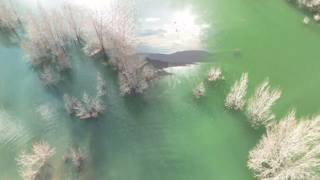 Pantano de Entrepe&ntilde;as al 82% (15-03-2025)