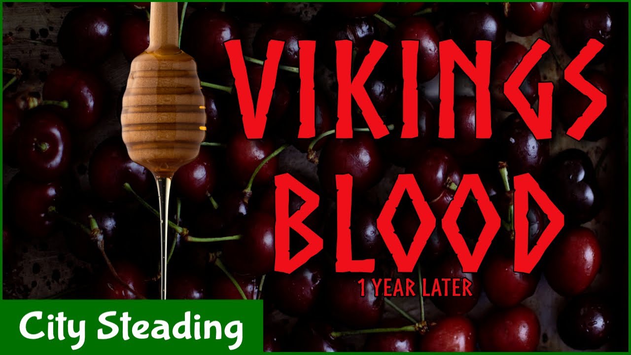 Viking Blood Mead - One Year Taste Test!