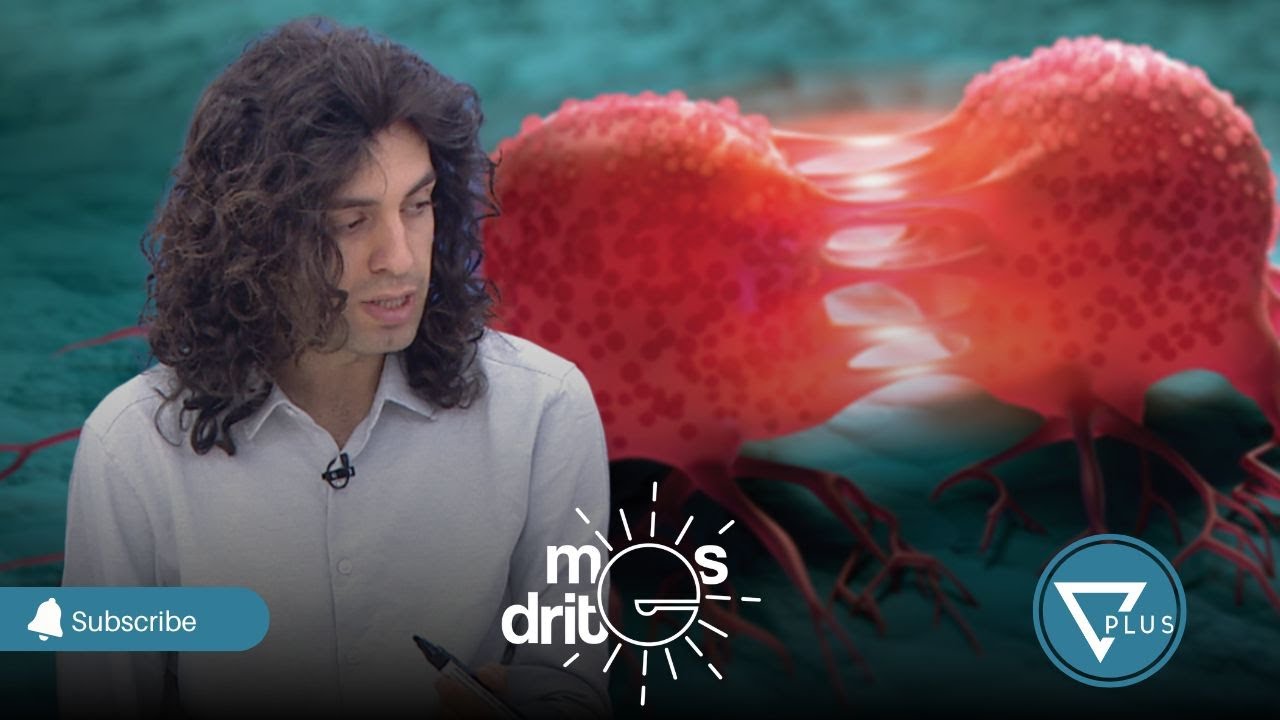 KUJDES!!! Ja ushqimet që po na shkaktojnë KANCER sipas Luçiano Bardhit - Mes'dritë