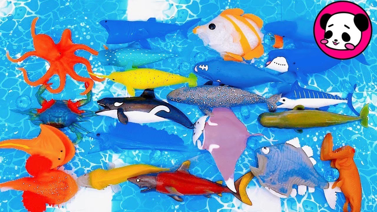 【海の生き物】をお水にポチャン！お湯だから色が変わる！？デアゴスティーニのクジラ&coやオーシャンアタックの魚達★Sea creatures/TOYS/Whale/Sharkサメ/Orcaシャチ