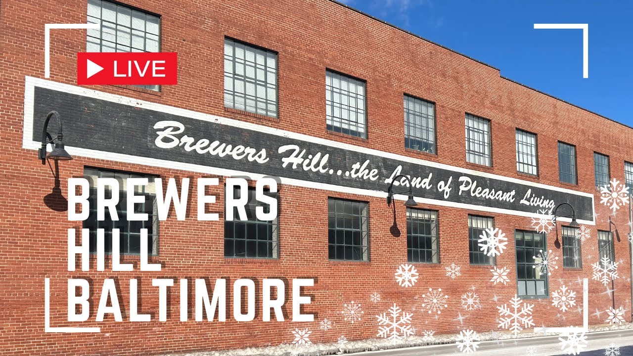 Baltimore Breweries and Canton Freeze 🥶 Walk ❄️ Live Walking Tour