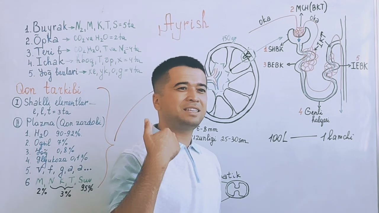 Ayrish sistemasi