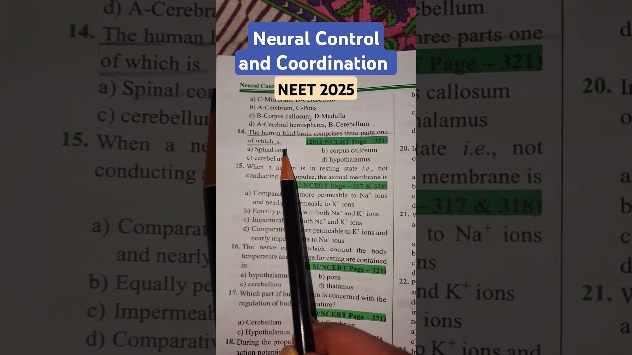 Neural Control and Coordination | Class 11th biology | Neet question practice | #neet #neet2025 #pw