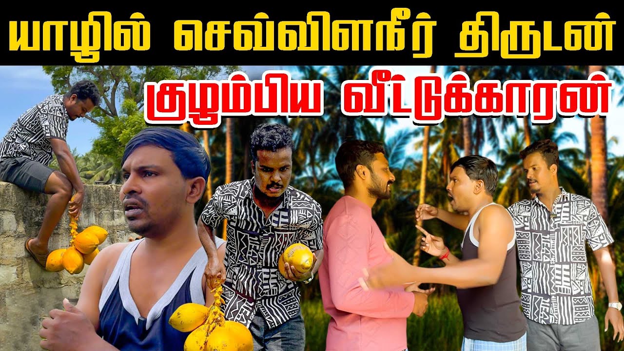 யாழில் இளநீரால் வந்த குழப்பம் | Akkuddiyum pichumaniyum | Tamil comedy #akkuddipichumani