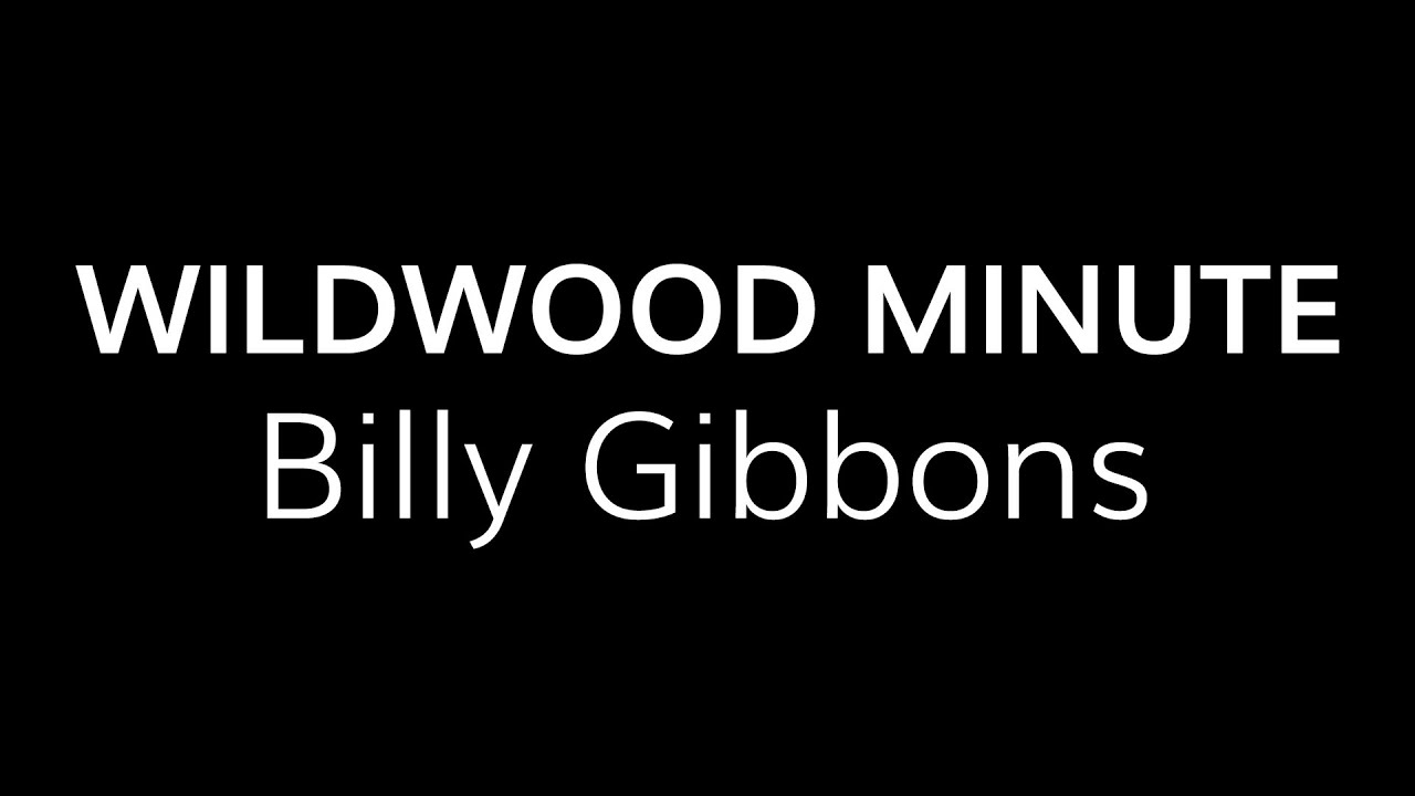 Billy Gibbons Inspired Lick  •  Wildwood Guitars