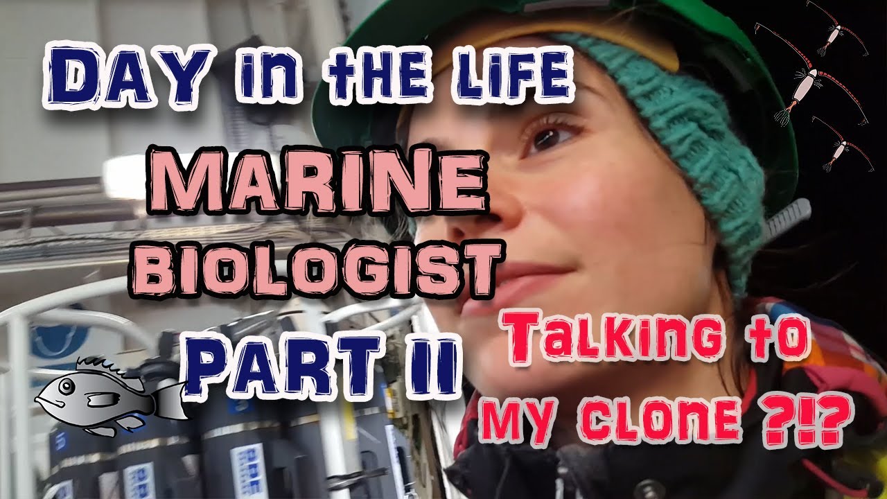 Part 2 | DAY in the Life of a Marine Biologist