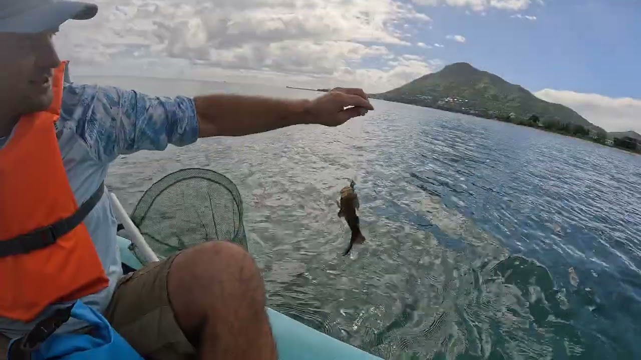 | 🎣Kayak fishing Mauritius🇲🇺 | We didn't expect to catch so many groupers! |