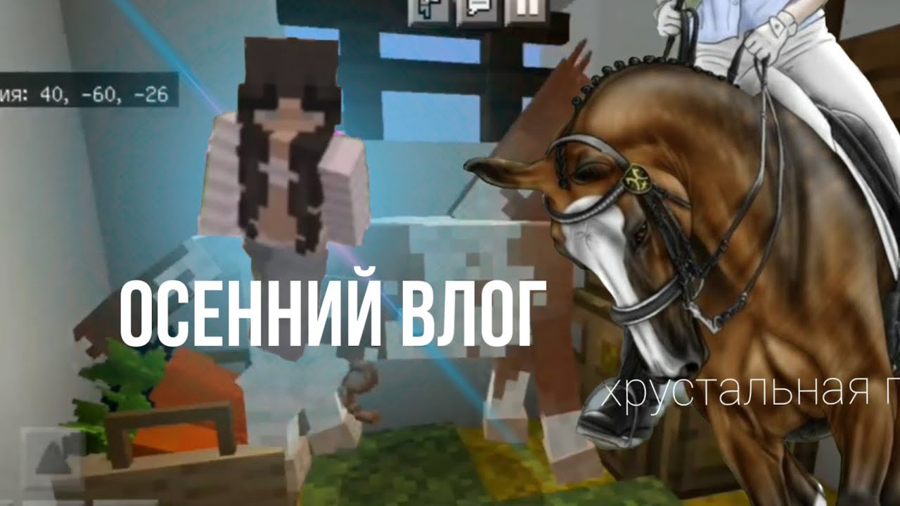 ~Осенний влог🐴 с КСК Хрустальная подкова~