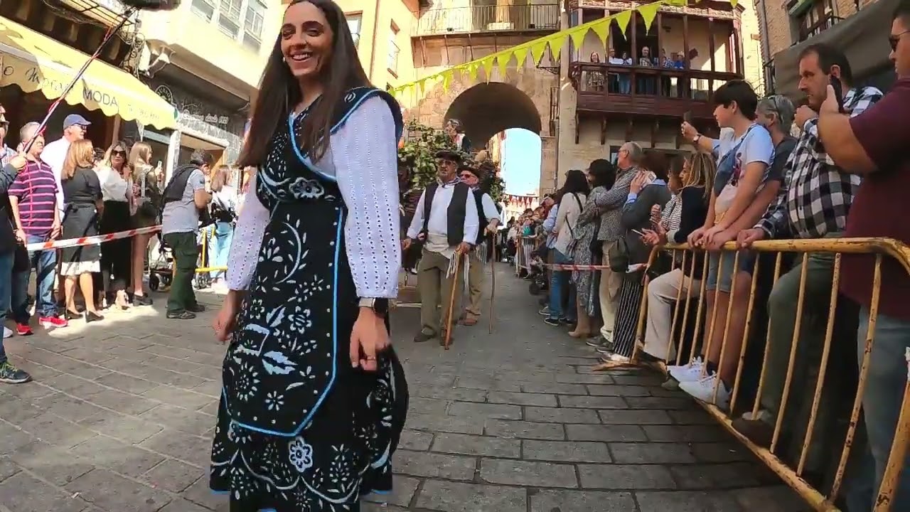 Fiesta De La Vendimia 2022 Toro - Zamora.