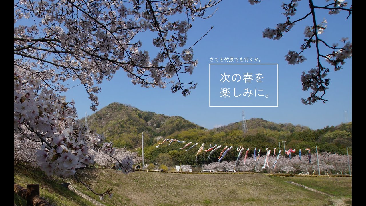 広島県竹原市 2020春のピースリーホームバンブー総合公園