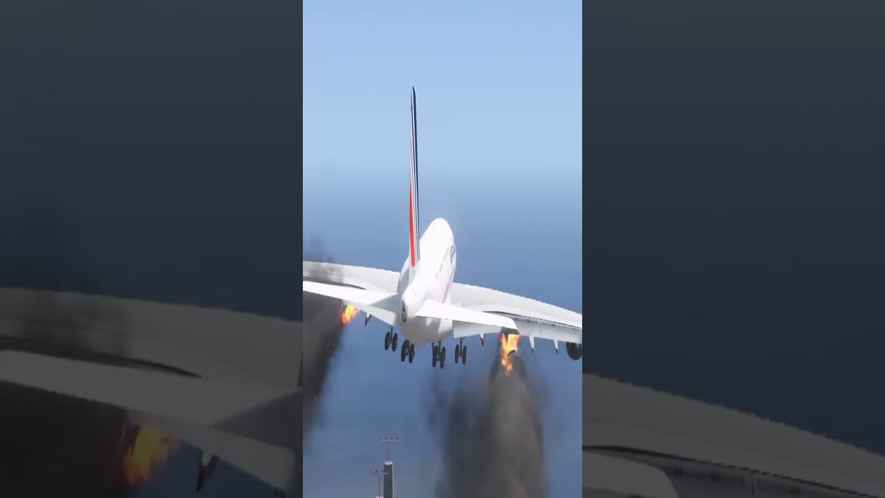 Crazy Cow accidentally Come Runway During Airplane Landing