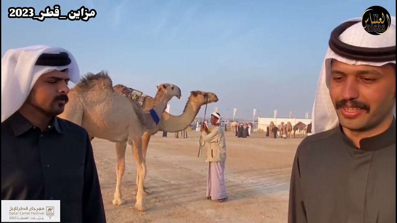 مزاين قطر جزيلات العطا دخول دق الشعل- الصفر ودق الشقح- الحمر