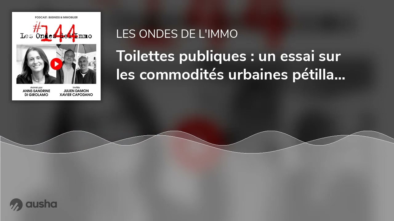 Toilettes publiques : un essai sur les commodités urbaines pétillant d'intelligence - Julien Damo...