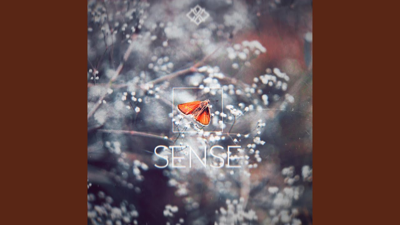 Sense