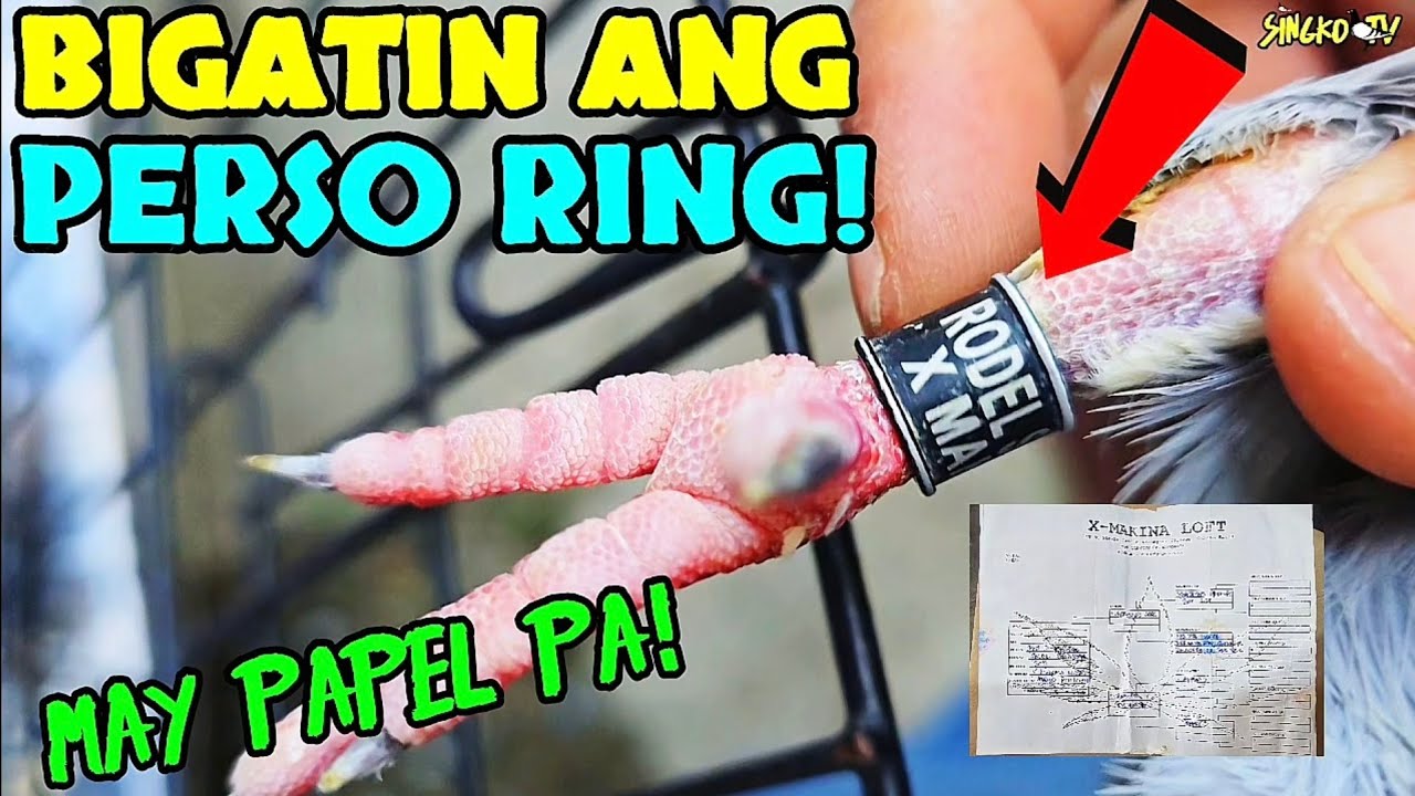 KILALA NYO BA TO?