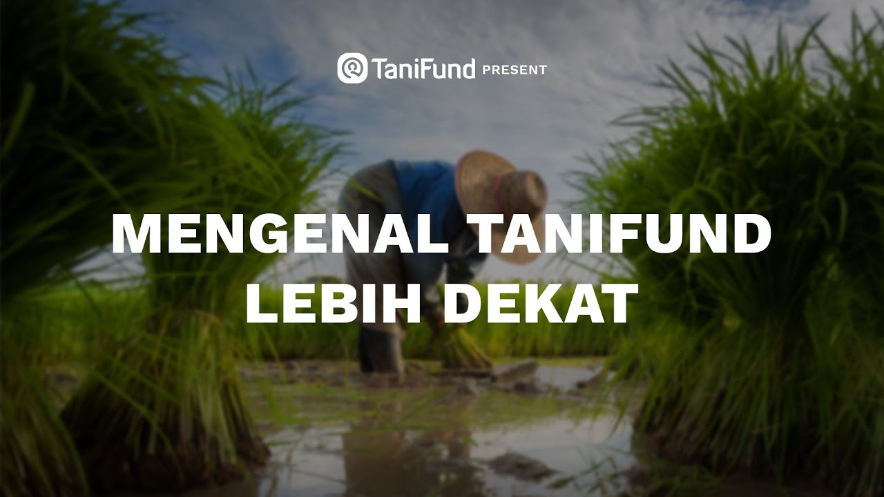 Mengenal TaniFund Lebih Dekat