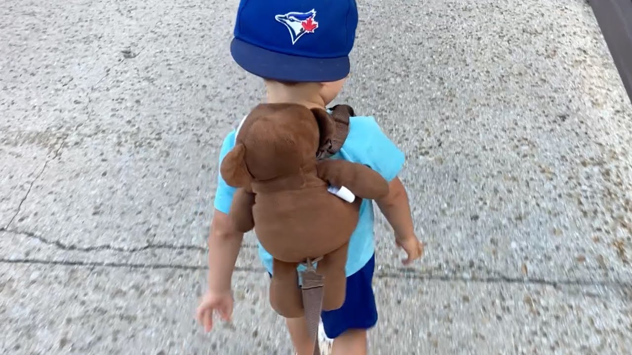 Travel Bug Toddler Safety Harness And Backpack Review