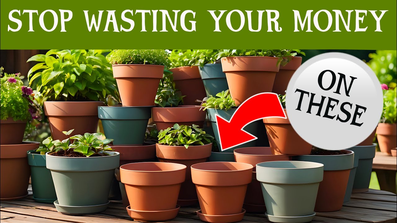 Stop wasting your money on plastic plant pots. Watch for my solution... and it's cheaper too....