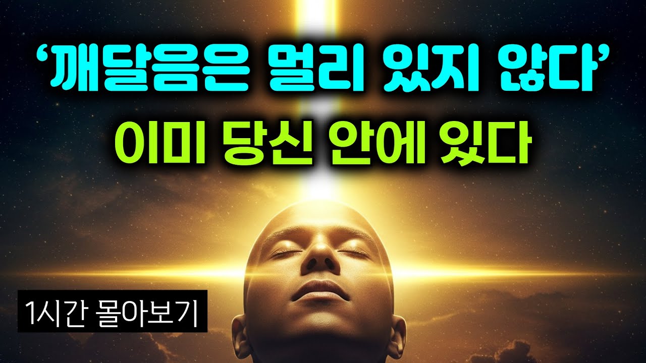 당신도 깨달을 수 있다. 깨닫는 순간, 세상이 달라진다. 깨달음이 진짜 행복의 열쇠! 깨닫는 자, 참된 자유를 얻는다. 깨달음이야말로 최고의 힐링 | 1시간 몰아보기. #부처님말씀