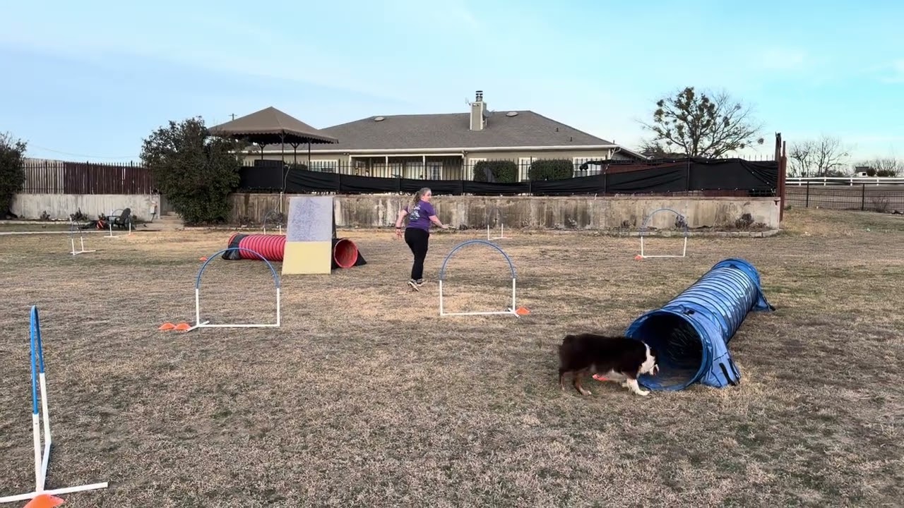 Texas Cowtown Team-Bailey- Round 3
