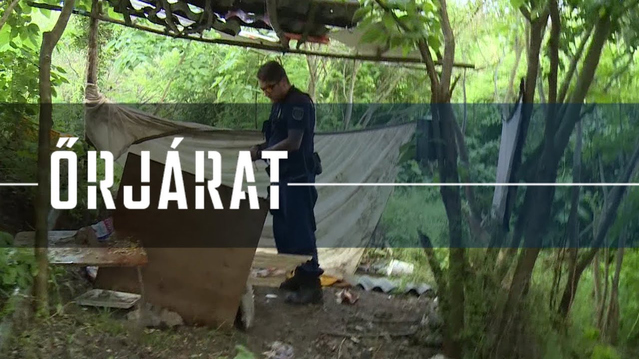 Újabb bunkerre akadtunk a Sárhegyen