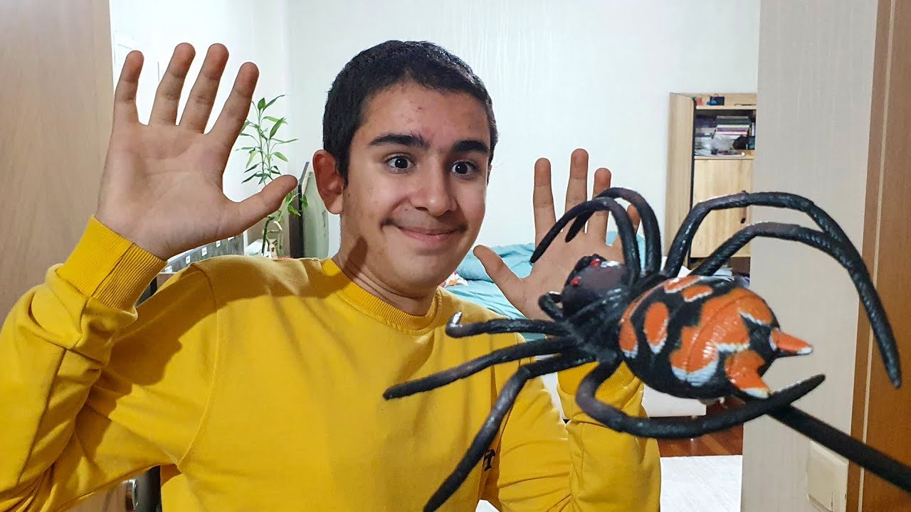 Örümcek Buğrayı Korkutuyor