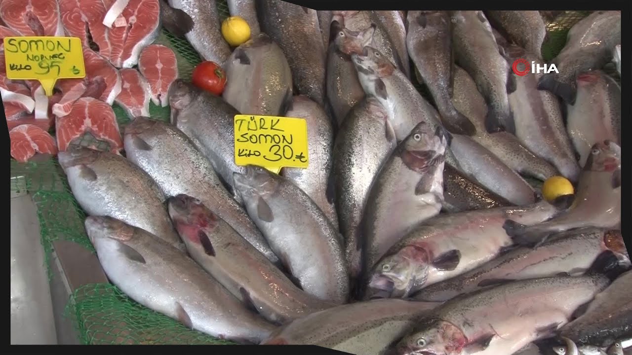 Vatandaşlar Hamsi Yerine Karadeniz Somonu’na Yöneldi