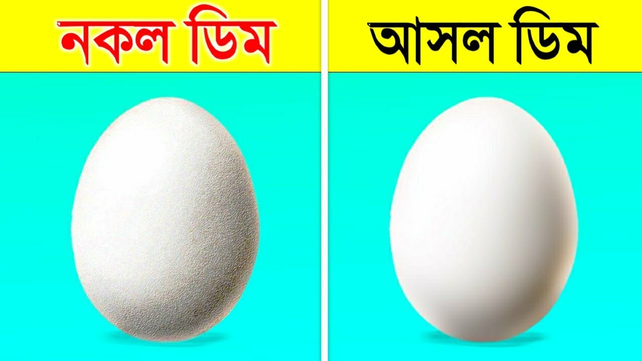 নকল ডিম এবং আসল ডিম চিনবেন কি ভাবে? | How To Identify Spoiled Egg? | Most Amazing Facts