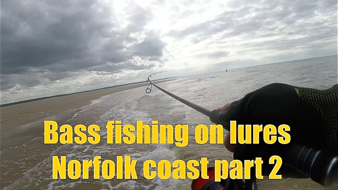 Bass fishing frenzy on lures up Norfolk coast island part 2 #bassfishing #fishing #lurefishing #fish