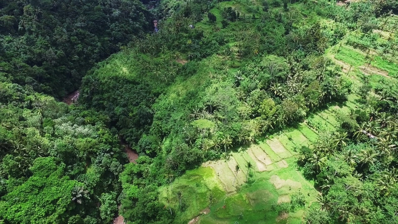 Ayung River near Ubud in Bali
