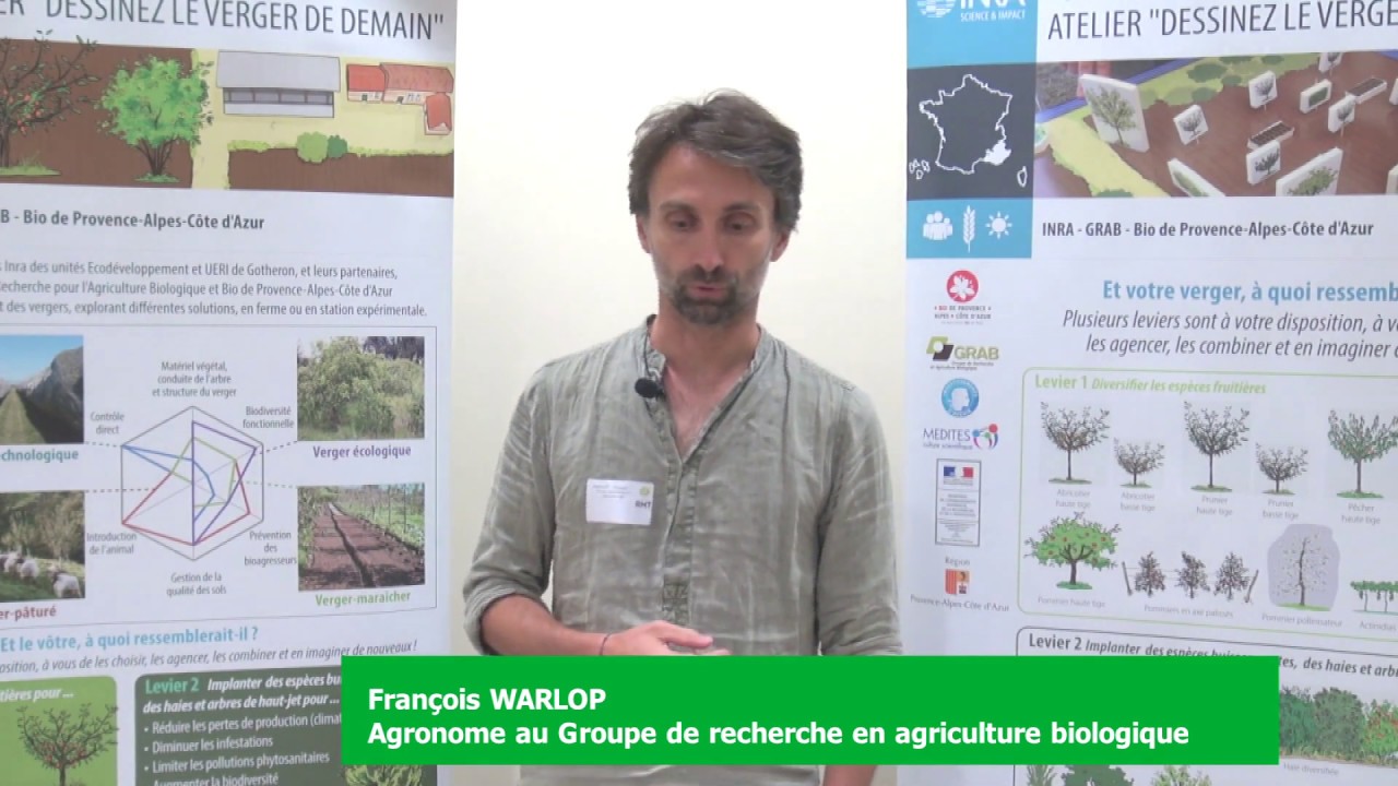 Agroforesterie: Jeu de plateau - dessinez le verger de demain