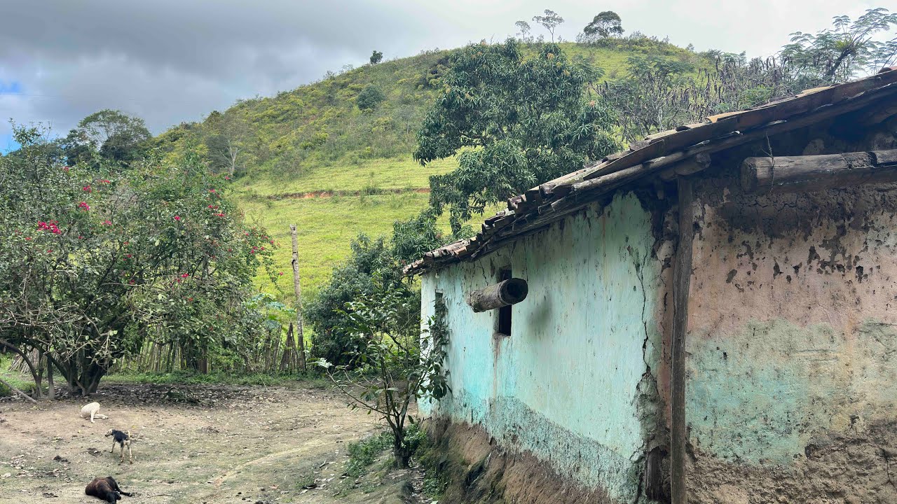 A vida  incomum do nordestino raiz fiel aos seus costumes / Dona Alzira 