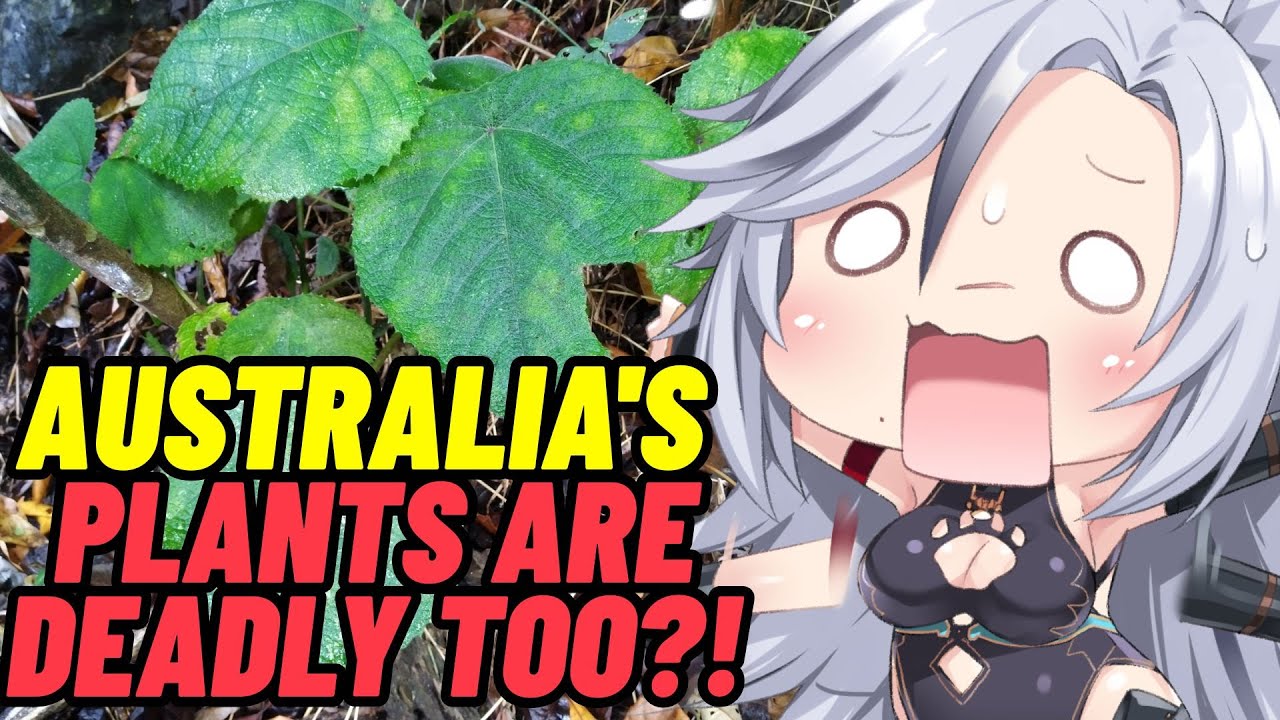 EVERYTHING IS DEADLY HERE?! More Parz Reaction